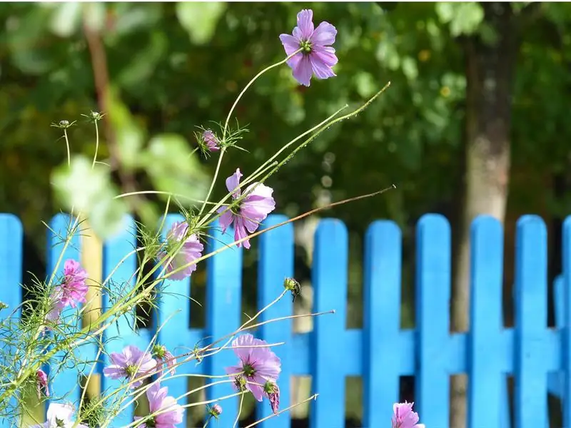 Rendez-vous nature : À la découverte de la nature