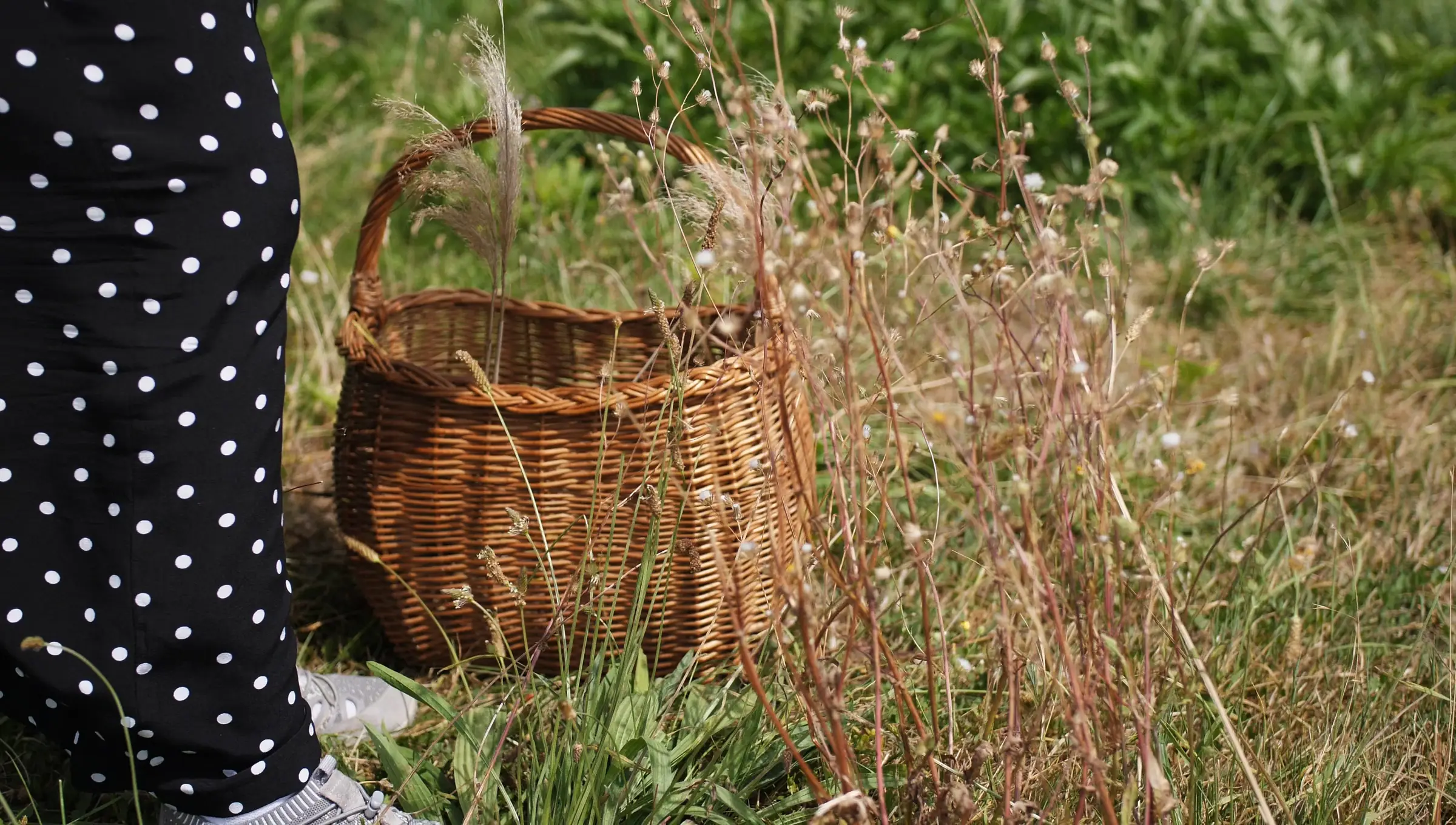 Atelier tissage sauvage