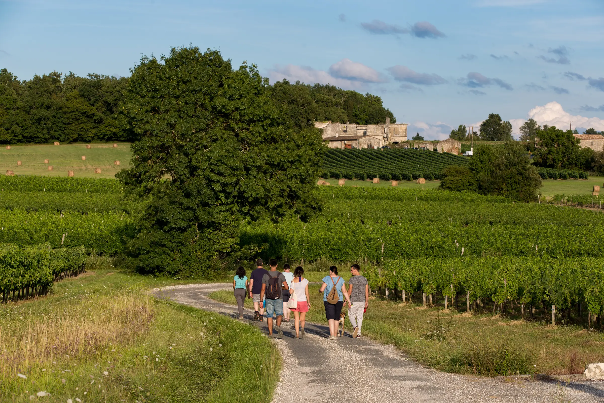 Les Rando-Tapas du Château Boutinet à Villegouge