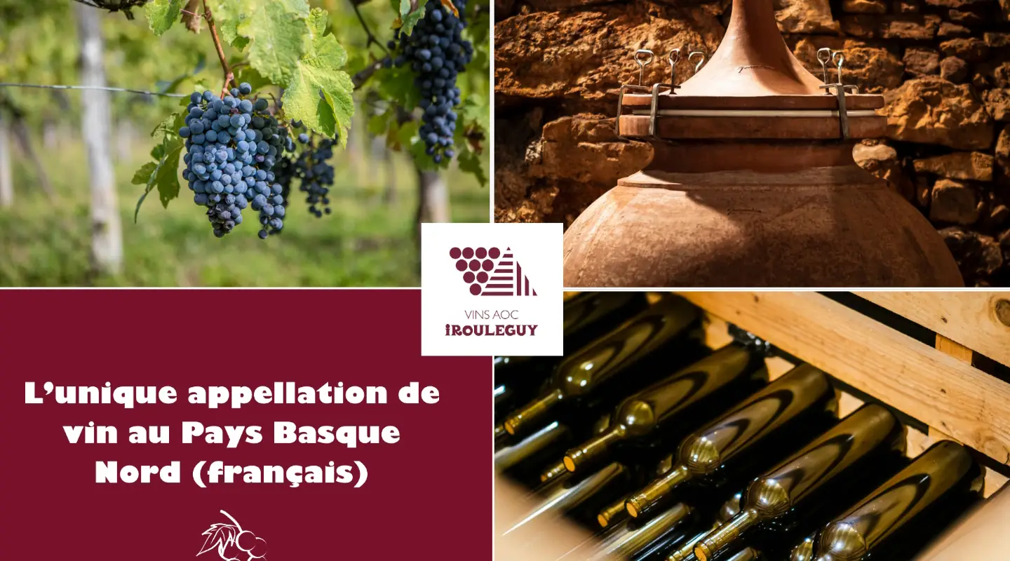 Rencontre vigneronne