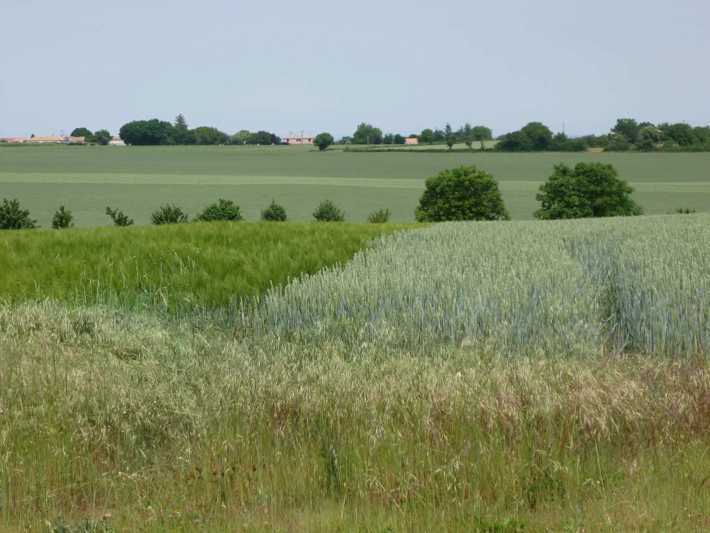 Saint-Rémy-en-Plaine vaut le des Tours