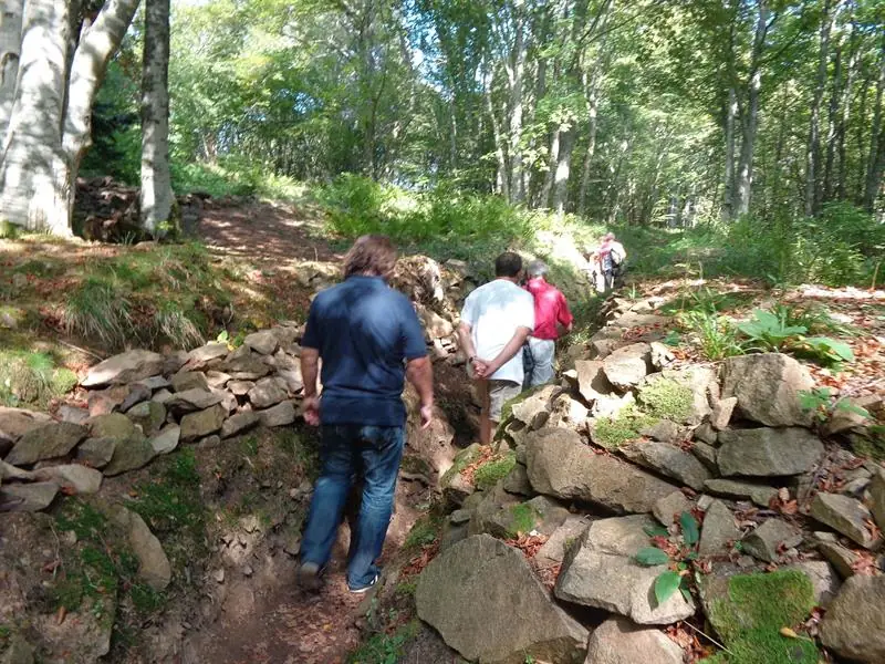 Visite guidée du champ de bataille du Hartmannswillerkopf, boucle 1