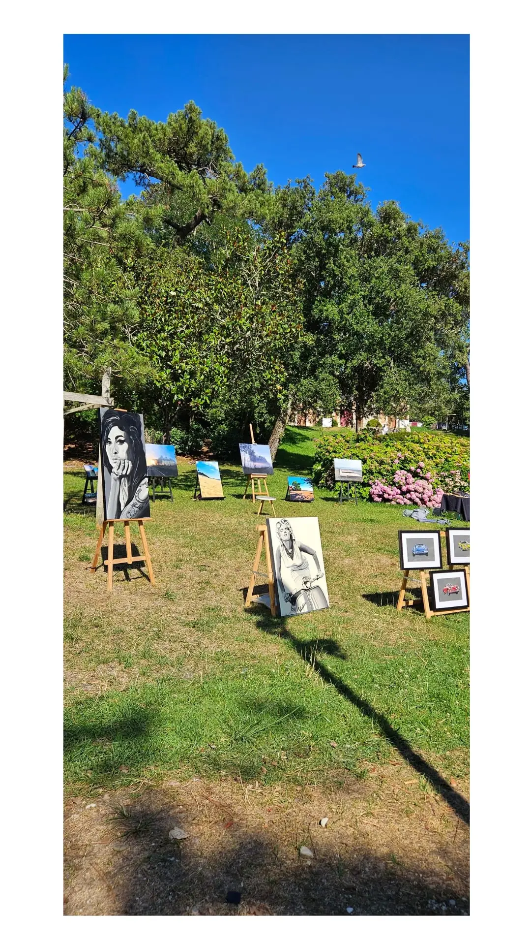 Exposition d'arts : Promenade des arts du Moulleau