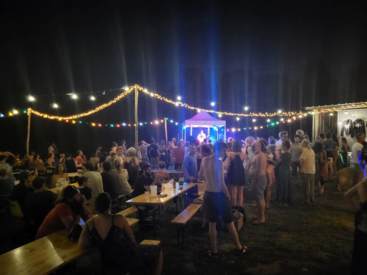 Guinguette et concert - Disco Fever