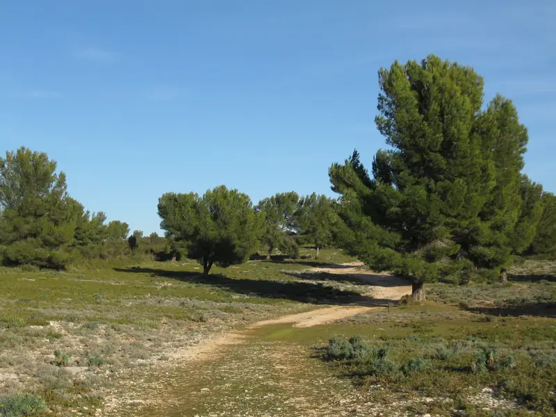 Parc des creusets