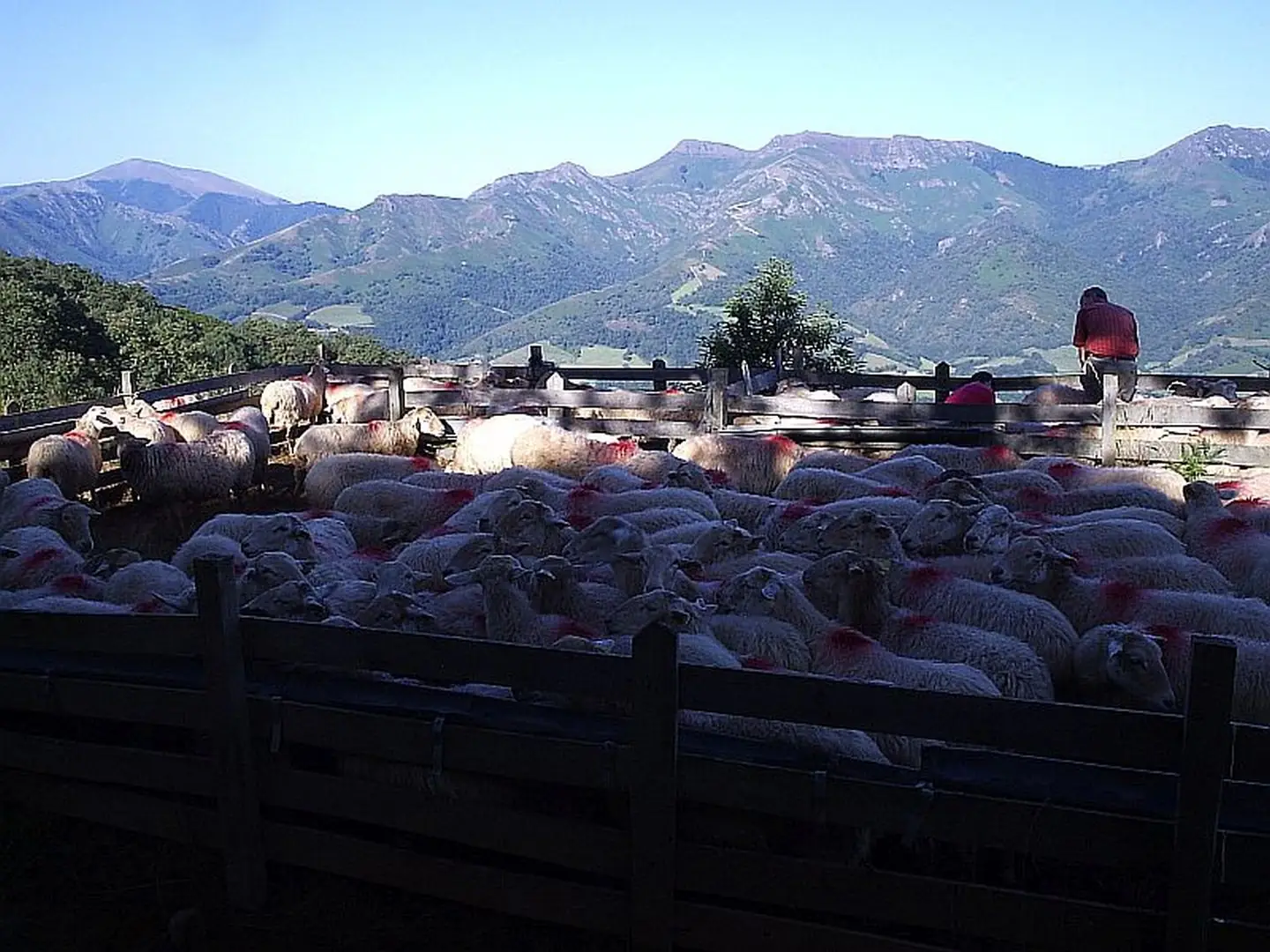 Visite de la ferme Tambourin