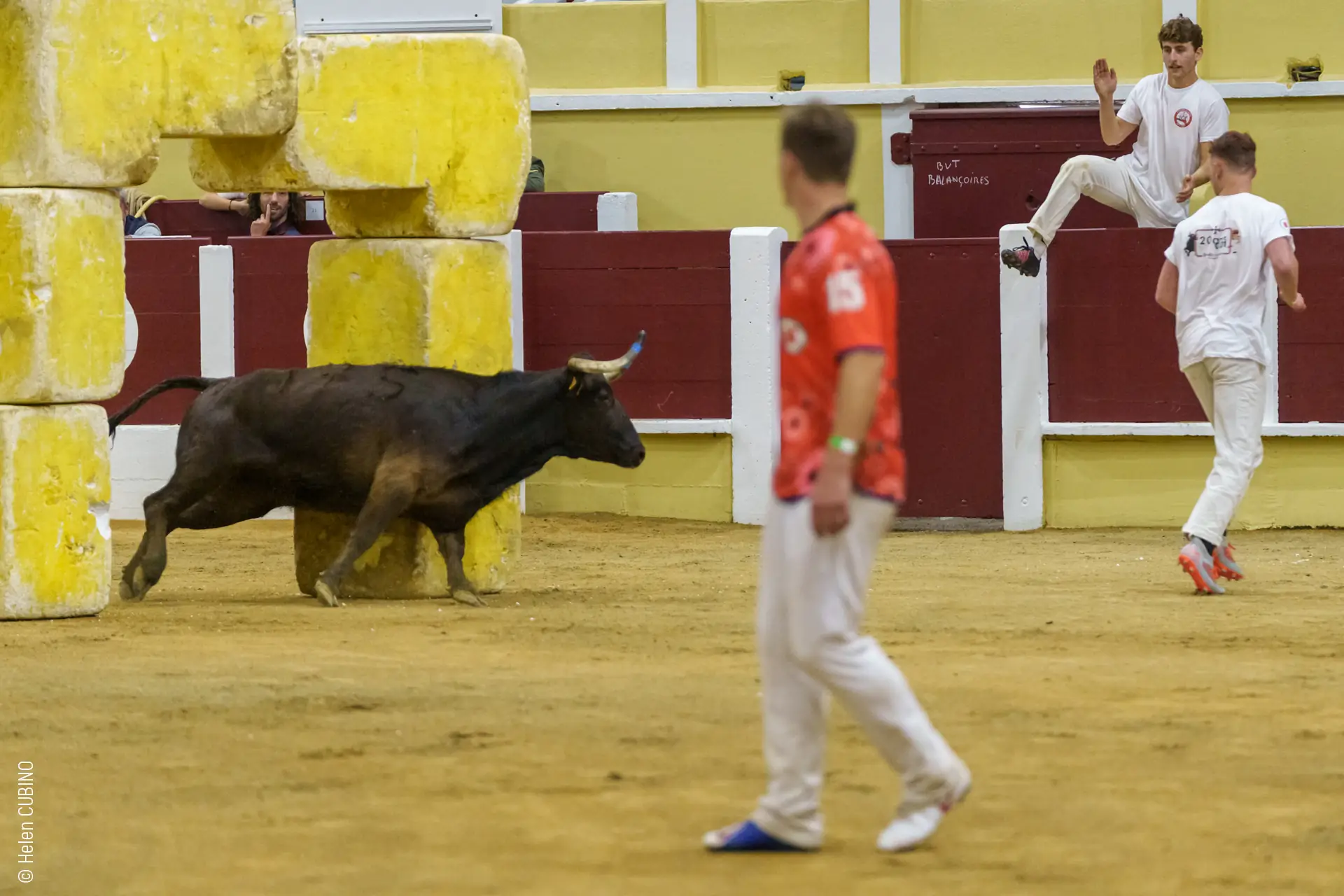 Spectacle Croque-vaches