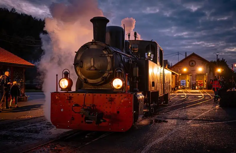 Spectacle : Nuit de l'horreur au train forestier