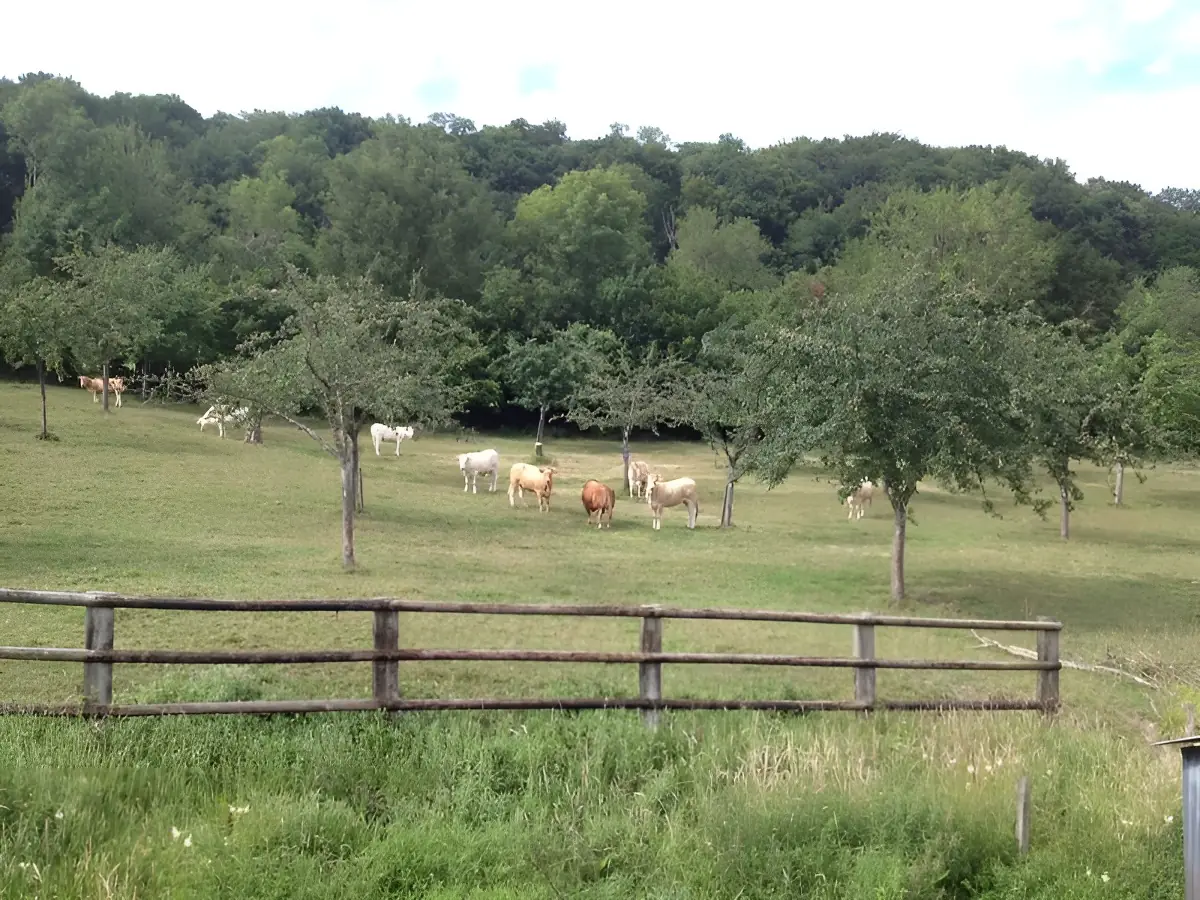 Domaine des 5 D - Cidrerie Daufresne