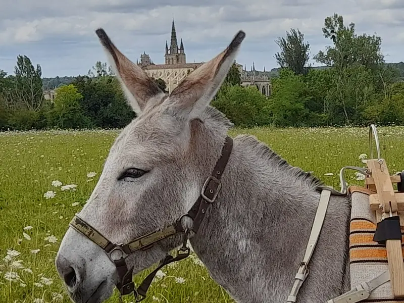 Sortie Yogânes