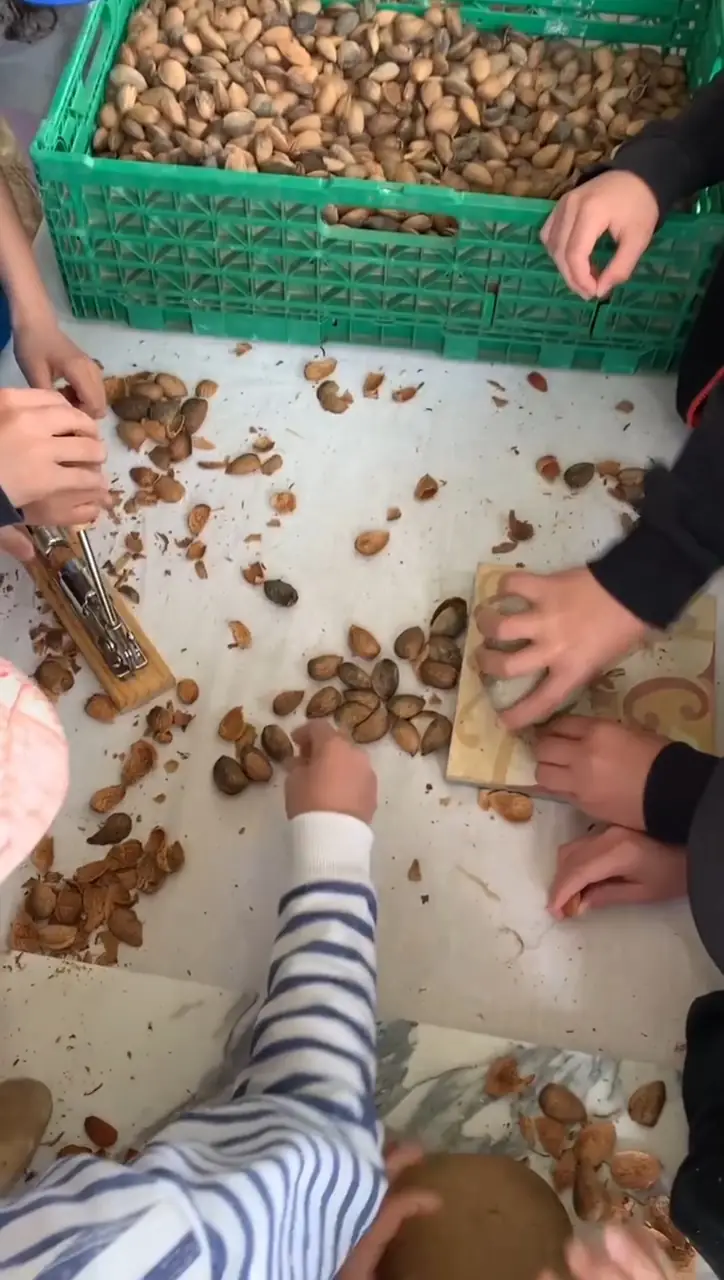 Visite gourmande : Les amandes des Alpilles