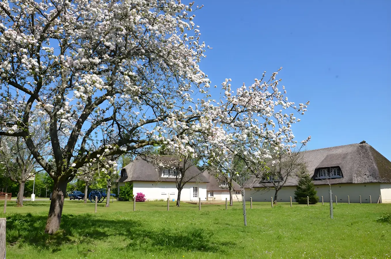 Domaine de la Pommeraie