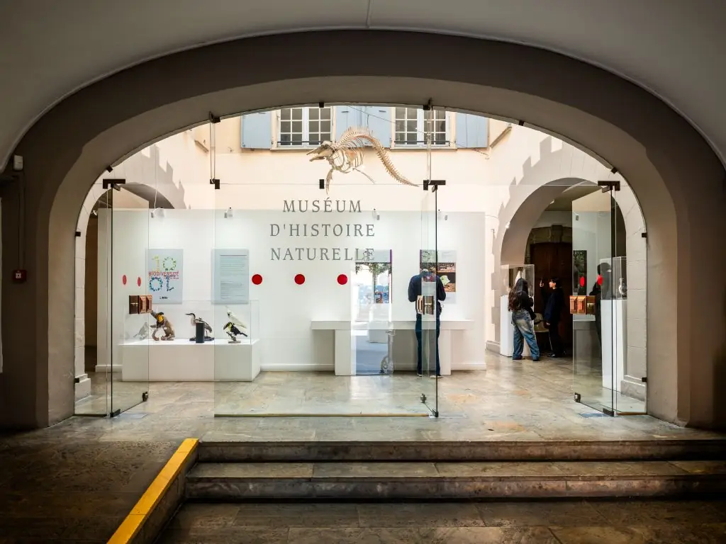 MUSEUM D'HISTOIRE NATURELLE