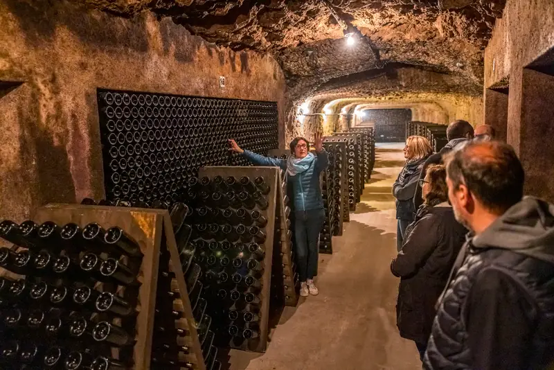 De la vigne au verre de vin