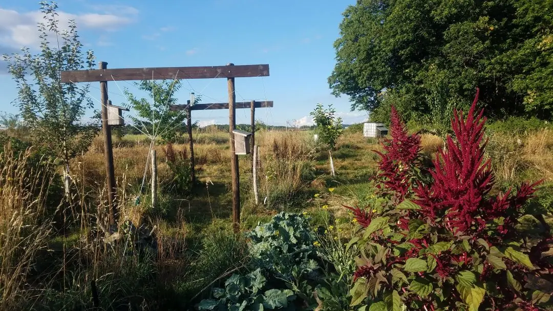Stage week-end Permaculture