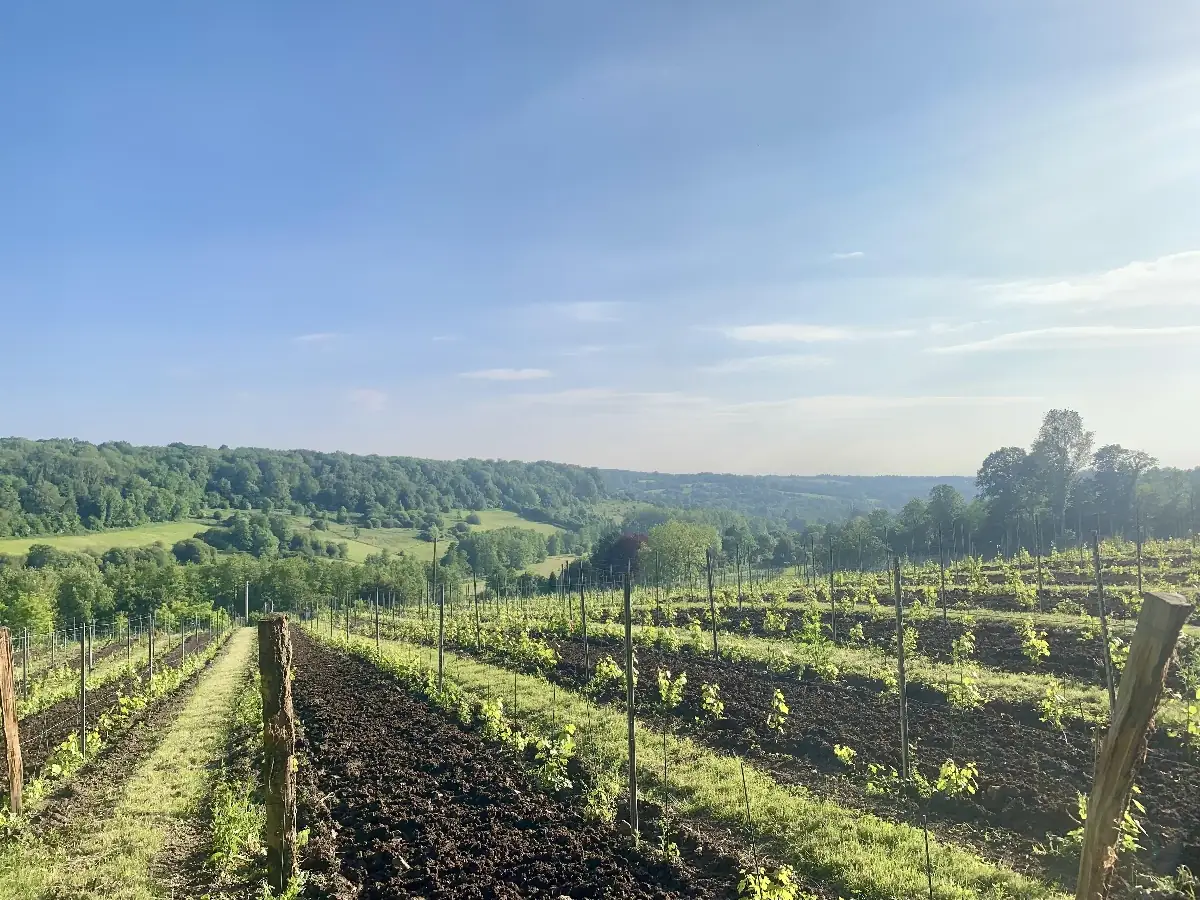Le Domaine des Déserts - Vignoble en Normandie