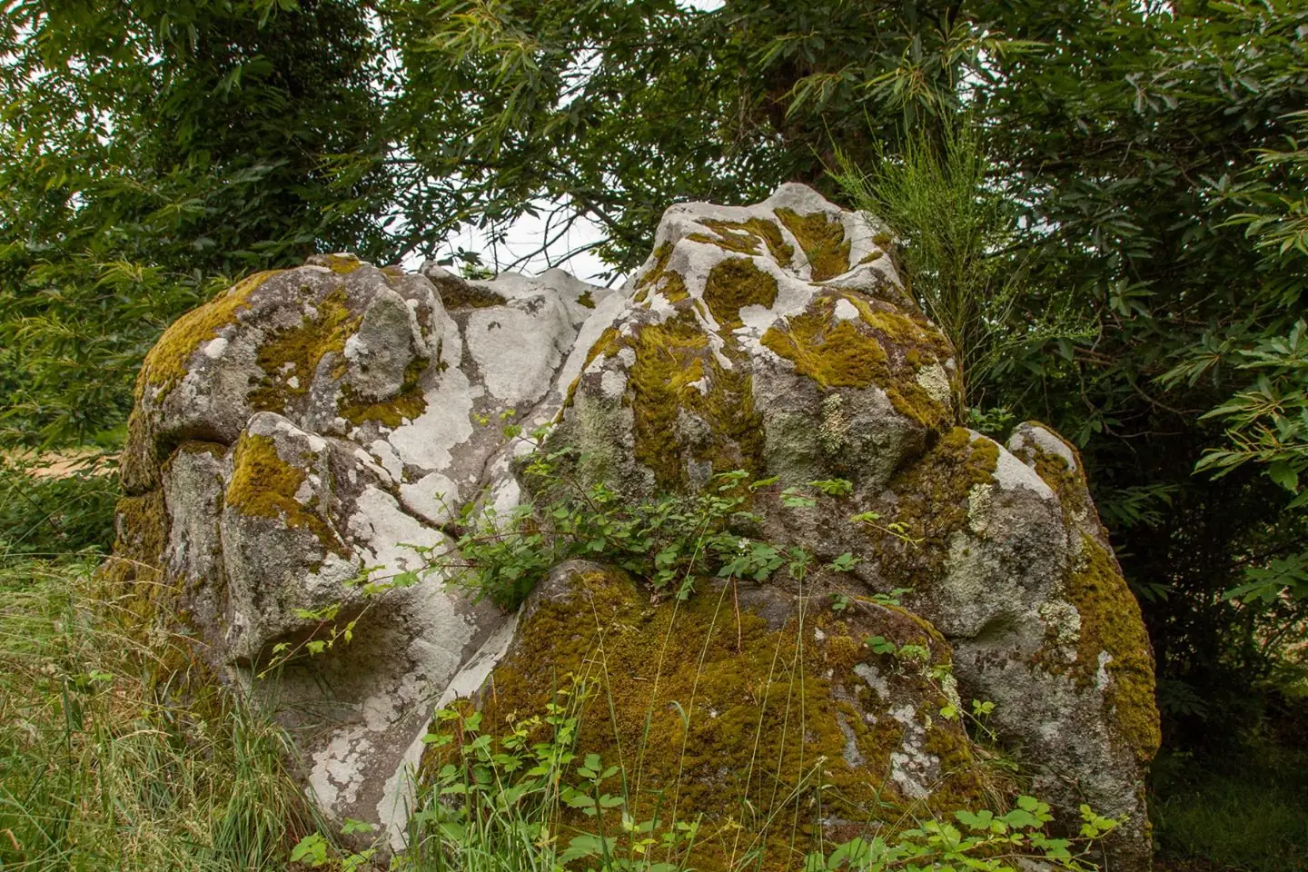 La pierre du sacrifice