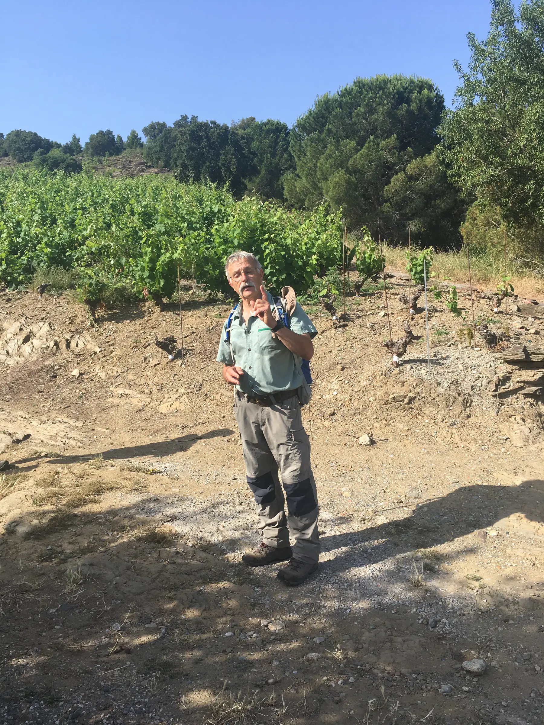 BALADE VINOHRANDO DANS LES VIGNES - OENOTOURISME !
