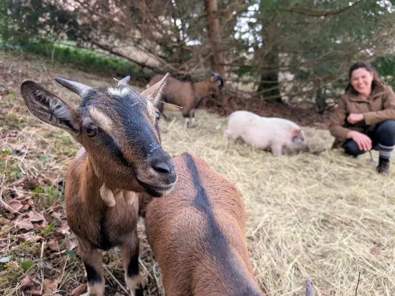 Enquête à la Mimi ferme