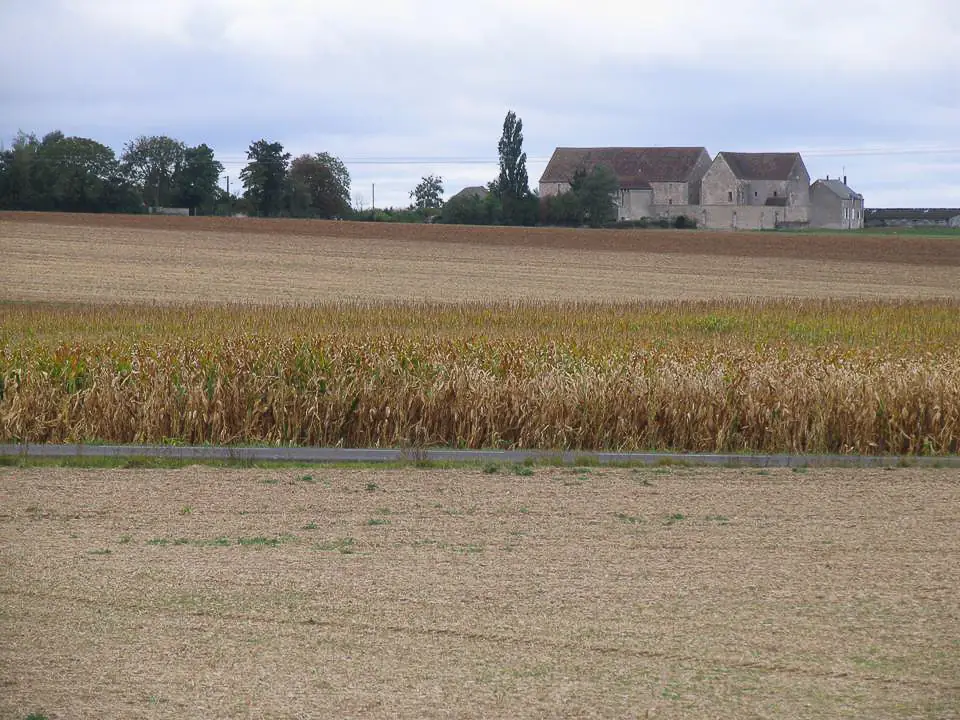 Abbaye du bois de Nottonville