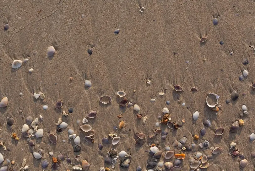 La valse des vagues