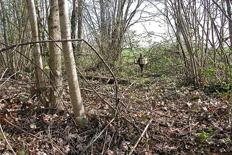 Puits du bois de Champigy
