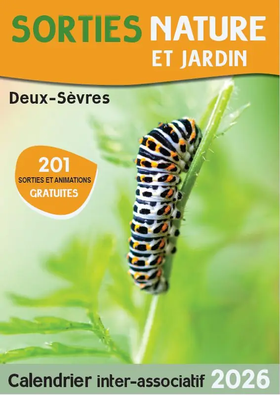 SORTIES NATURE : SCIENCES EN FAMILLE : LES SALAMANDRES