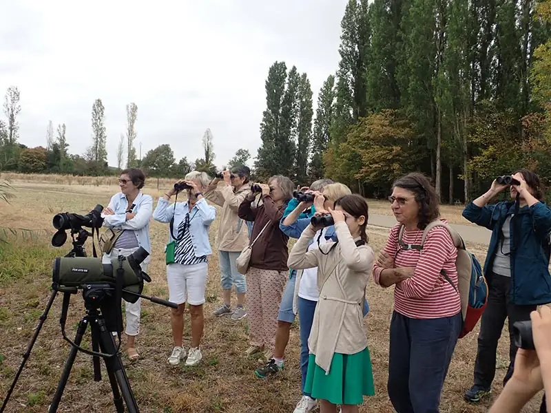 Sortie nature : Observation des Oiseaux