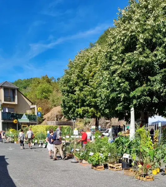 10ème Foire aux Plantes