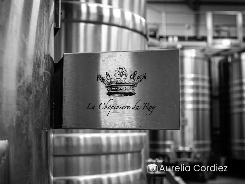Visite-dégustation : Visite du domaine aux origines de l'appellation