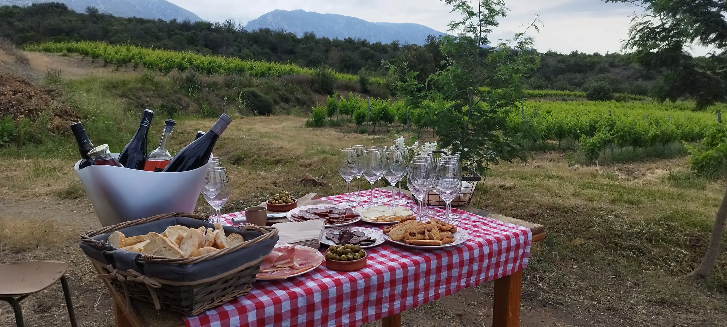 VIGNERON D'UN JOUR - VINO ENIGMA