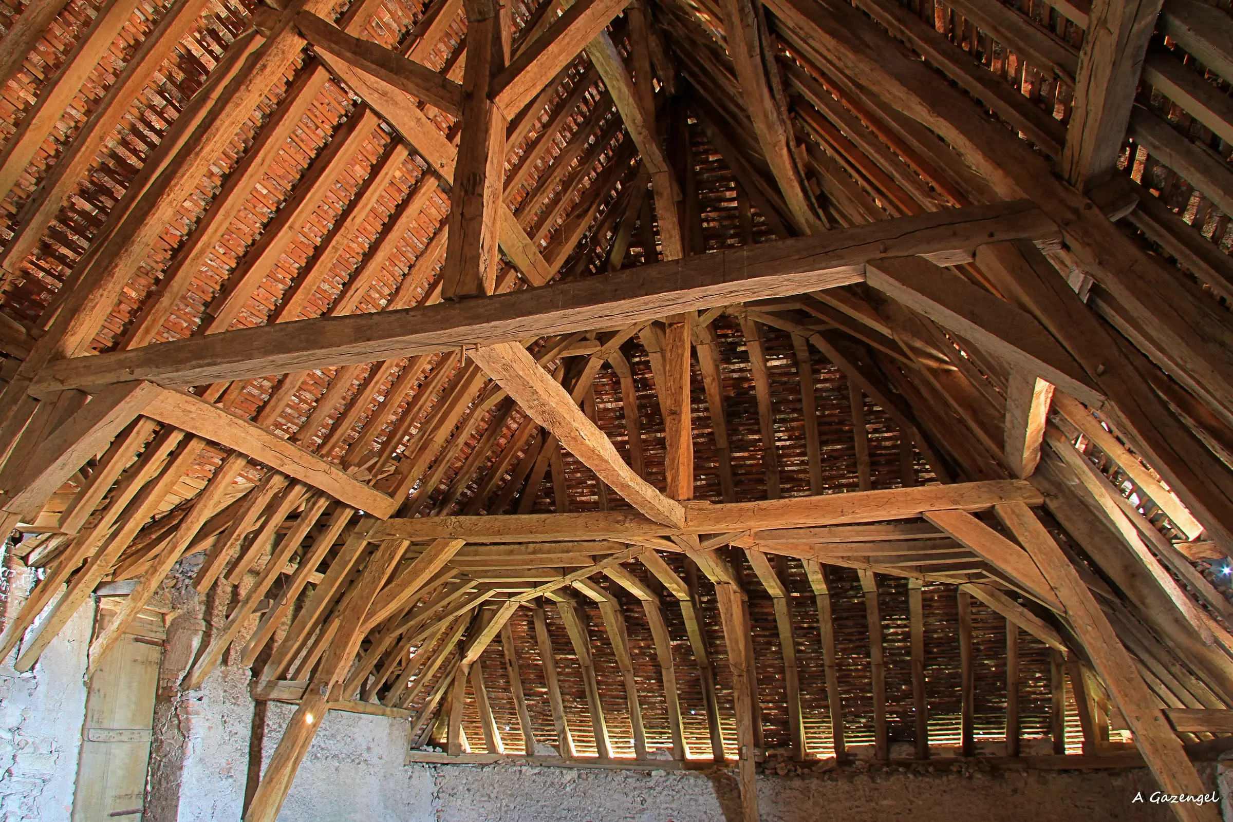 Journées Européennes du Patrimoine - L'architecture à l'honneur au Château de La Bussière