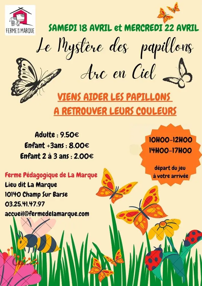Le mystère des papillons arc-en-ciel