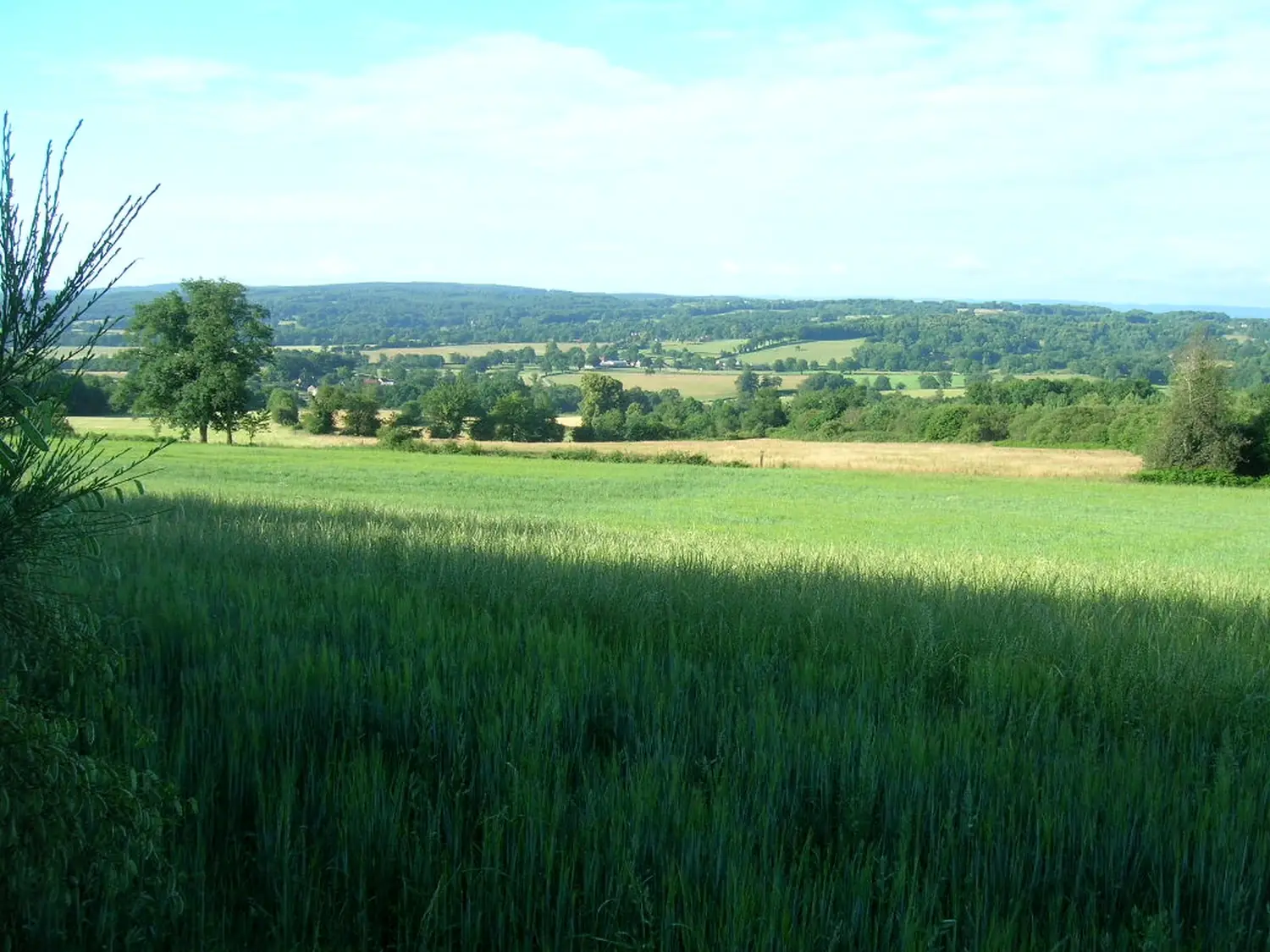 Le site de la Péricholles