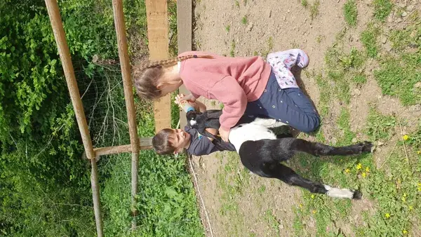 La Ferme des Andes - Visite commentée de la ferme