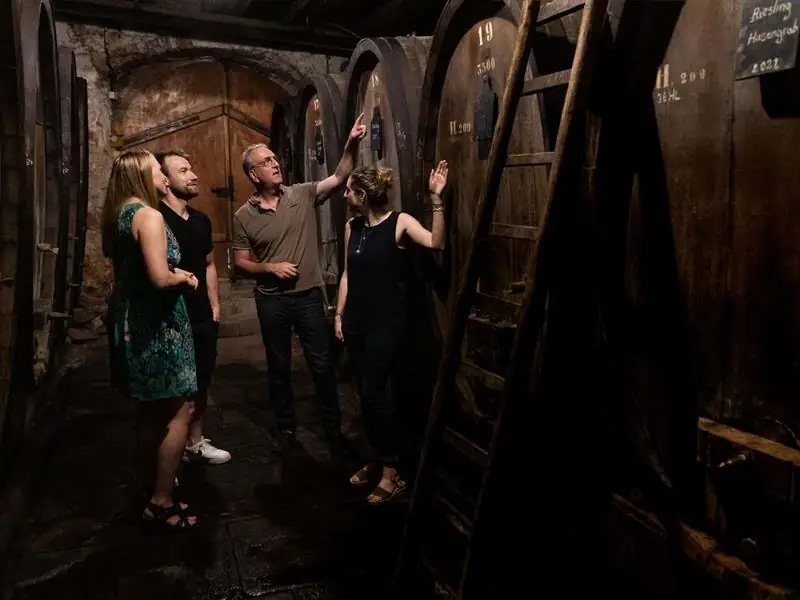 Parenthèse Vigneronne : la Biodynamie et l'expression sur le Grand Cru Kaefferkopf