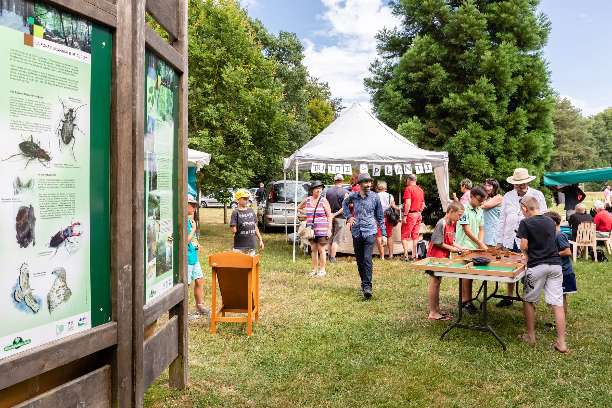 Forêt en Fête