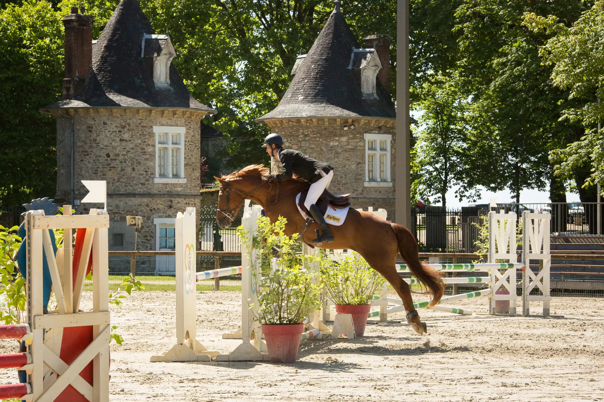 Les coulisses de la Journée du Cheval