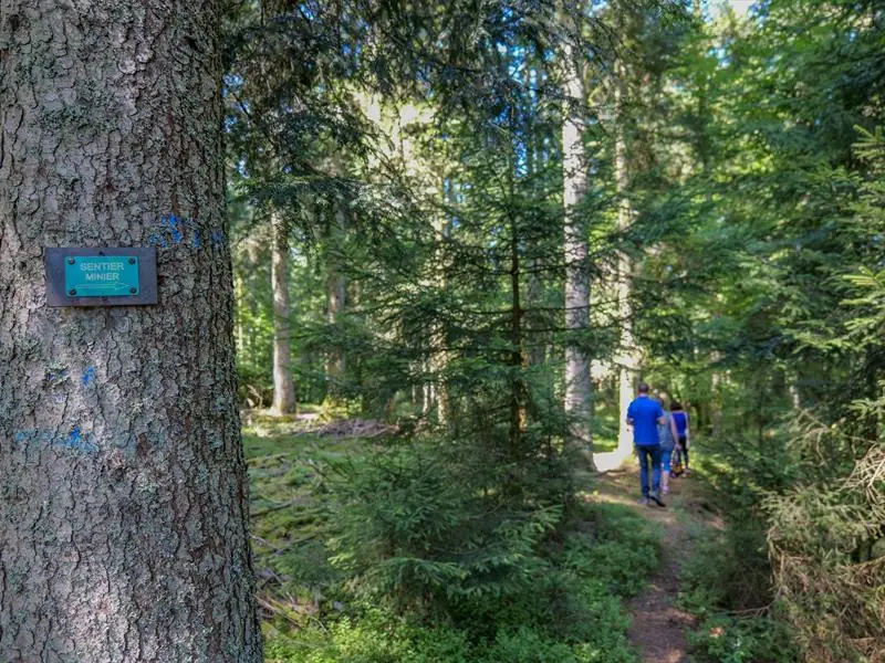 Sentiers Plaisir : Framont-Grandfontaine, la ruée vers le fer