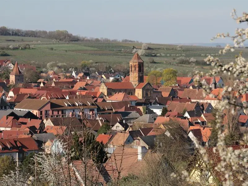 Rosheim