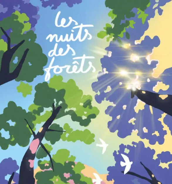 Balade à la découverte de la forêt