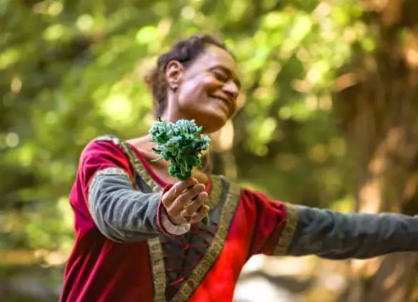 Musique et danses médiévales aux Tour de Merle