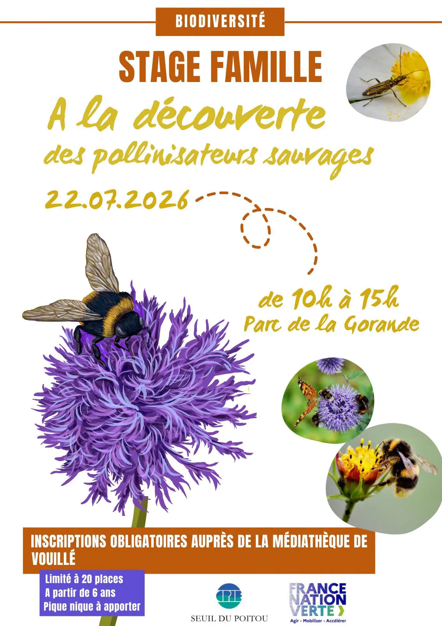 Stage famille - A la découverte des pollinisateurs sauvages