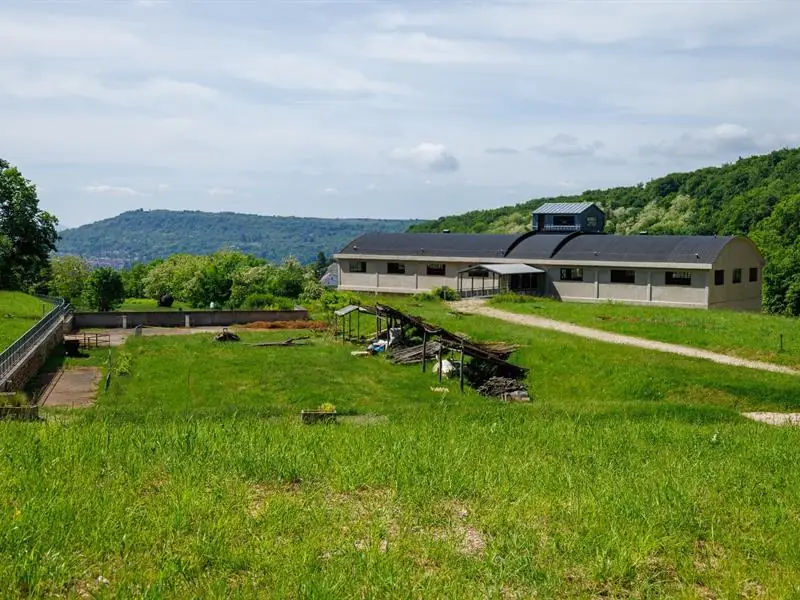 La Mine de Neuves-Maisons
