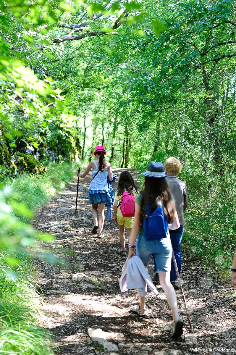 La Cornacopia : Randonnée - Trail Nature