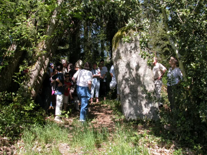 Menhir de Fixard