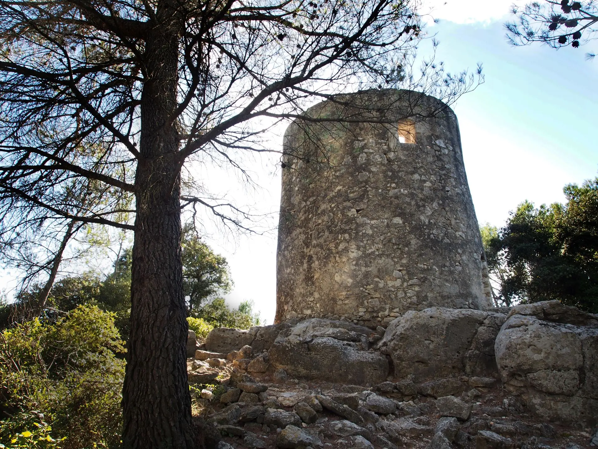 Le Sentier des Moulins d'Alphonse Daudet