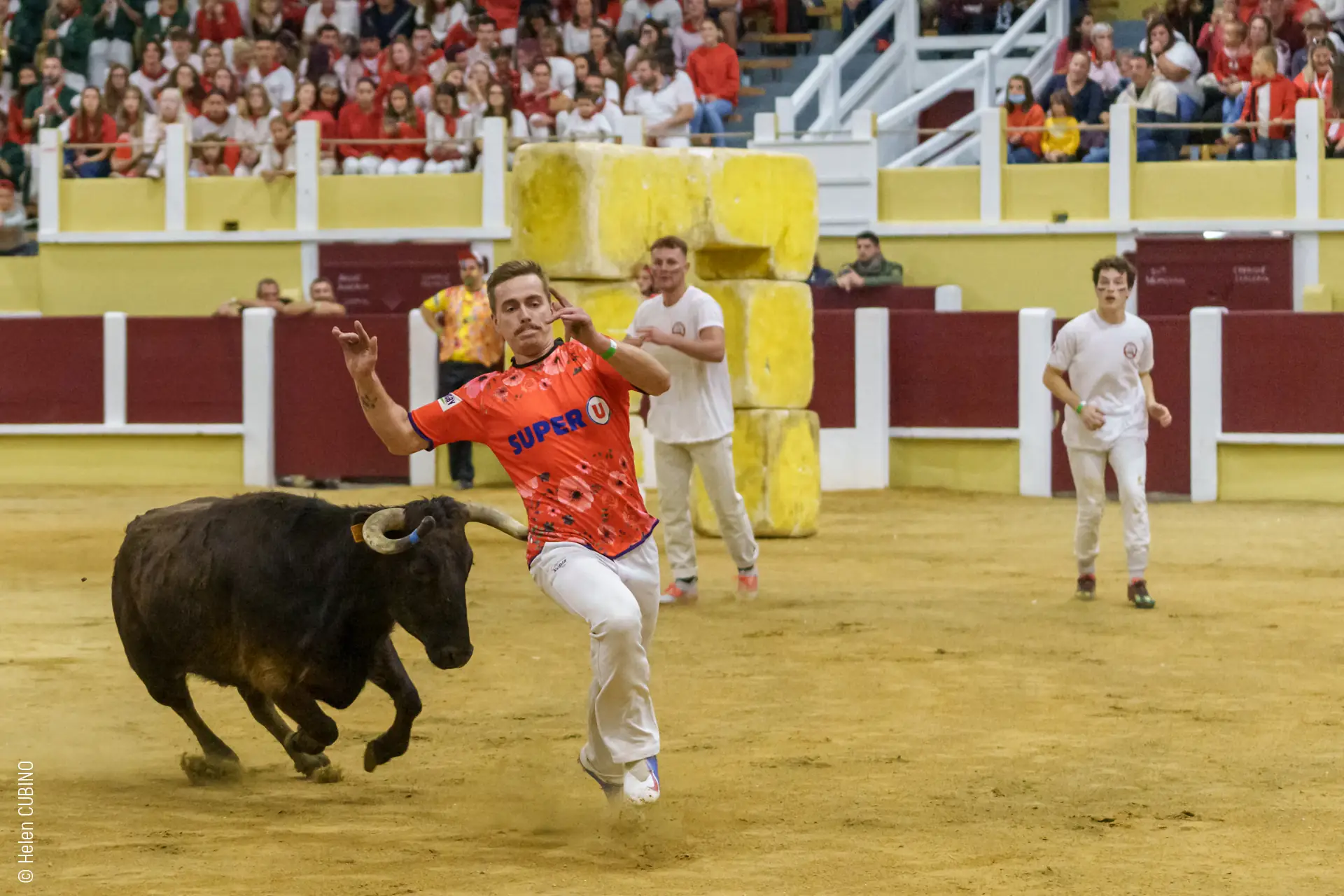 Spectacle Croque-vaches