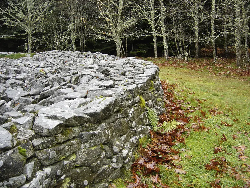 PATRIMOINE - Tumulus du Puy de Plane