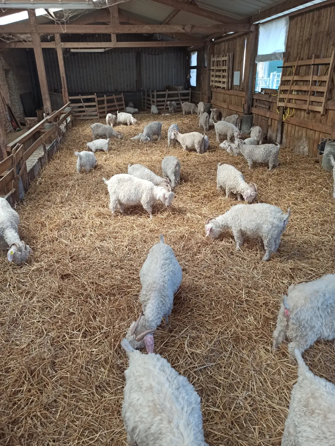 La Grange au Mohair